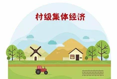 農村集體經(jīng)濟組織財務制度